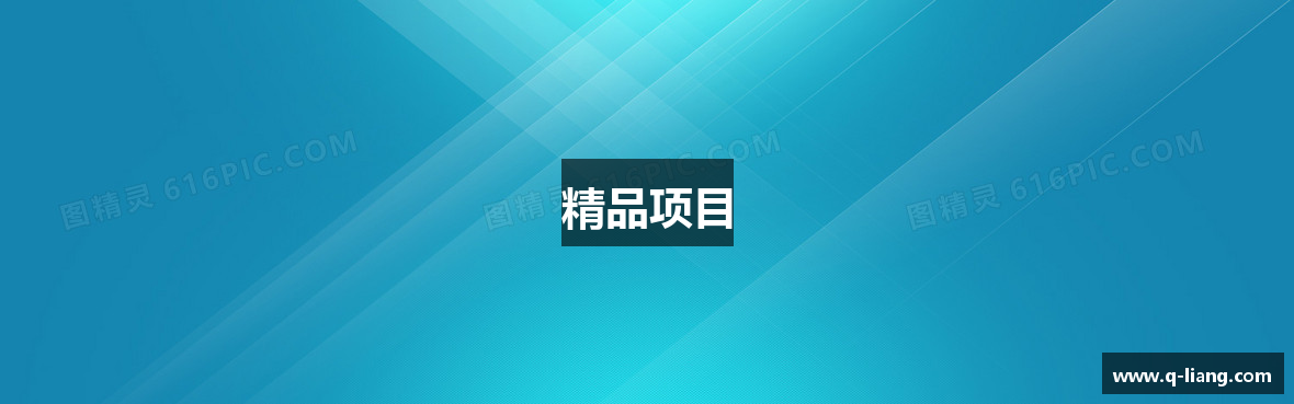 精品项目